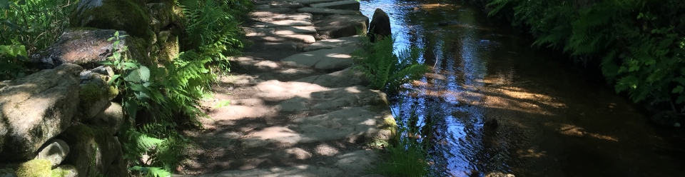 Upcoming Tours - Camino de Santiago Trail